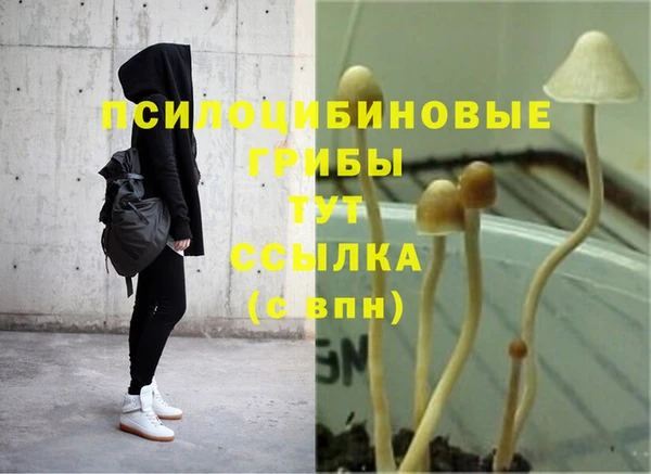 ALPHA PVP Дмитровск