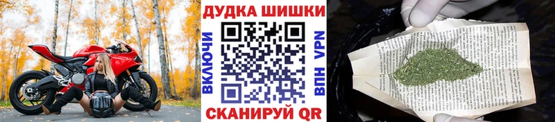 купить  сайты  Димитровград  Каннабис Ganja 